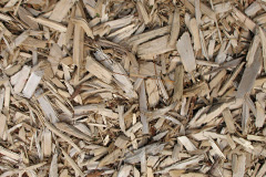 biomass boilers Lindrick Dale